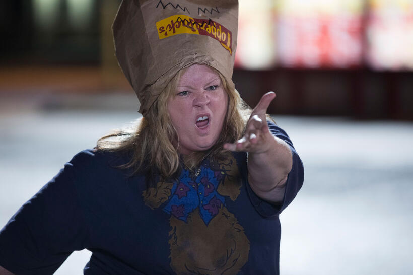 Melissa Mccarthy as Tammy in "Tammy."