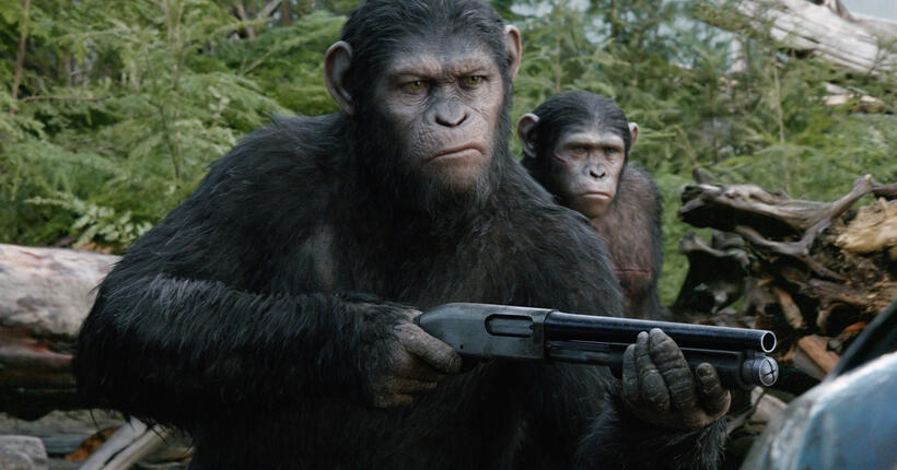 A scene from "Dawn of the Planet of the Apes."