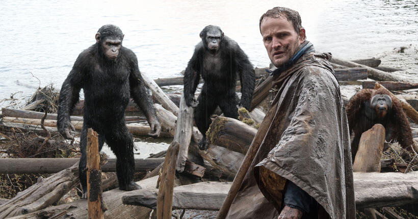 A scene from "Dawn of the Planet of the Apes."
