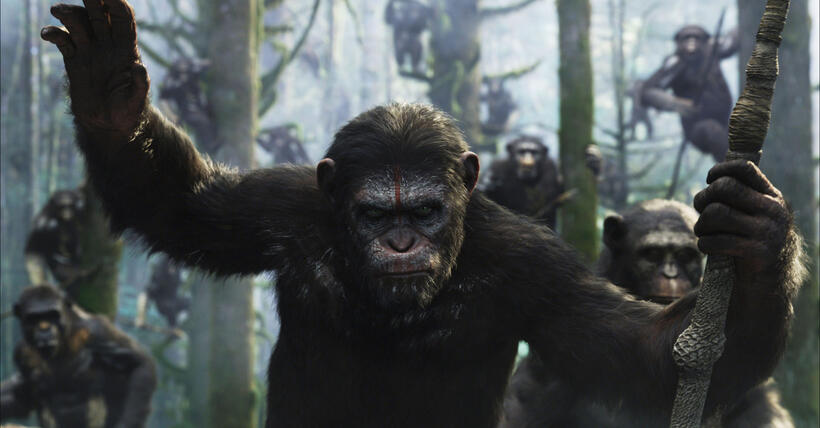 A scene from "Dawn of the Planet of the Apes."