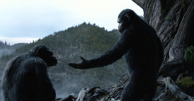A scene from "Dawn of the Planet of the Apes."