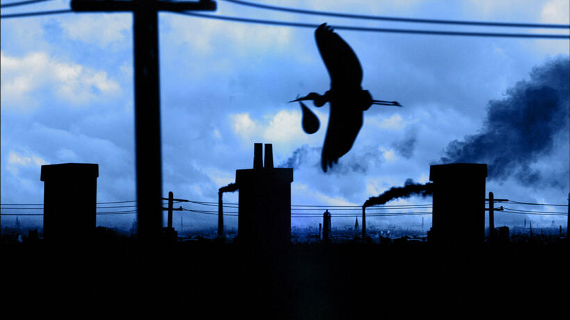A scene from "Patch Town."