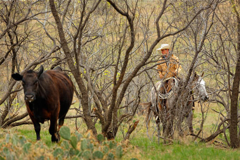 Movie still from "Farmland"