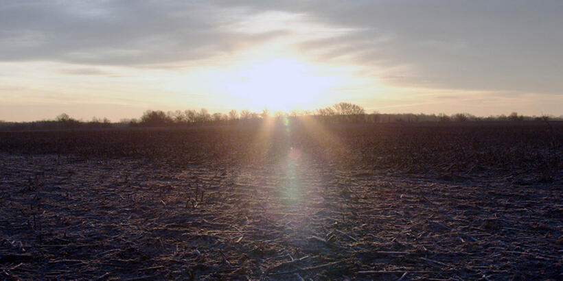 A scene from "Rich Hill."