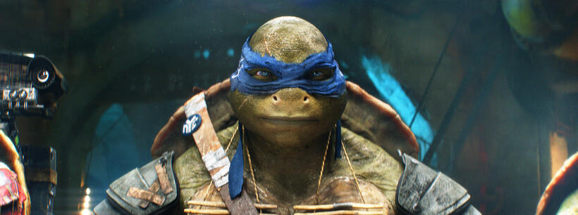 A scene from "Teenage Mutant Ninja Turtles."