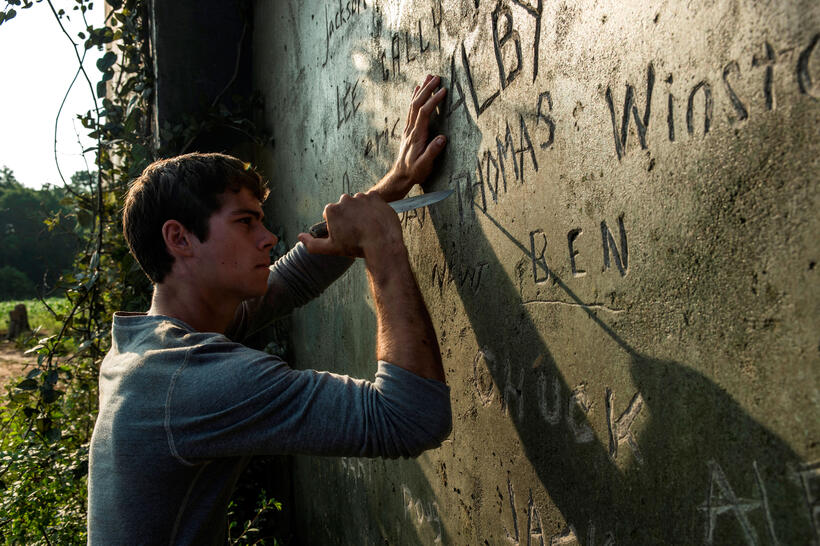 Dylan O'Brien as Thomas in "The Maze Runner."
