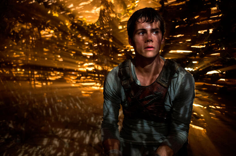 Dylan O'Brien as Thomas in "The Maze Runner."