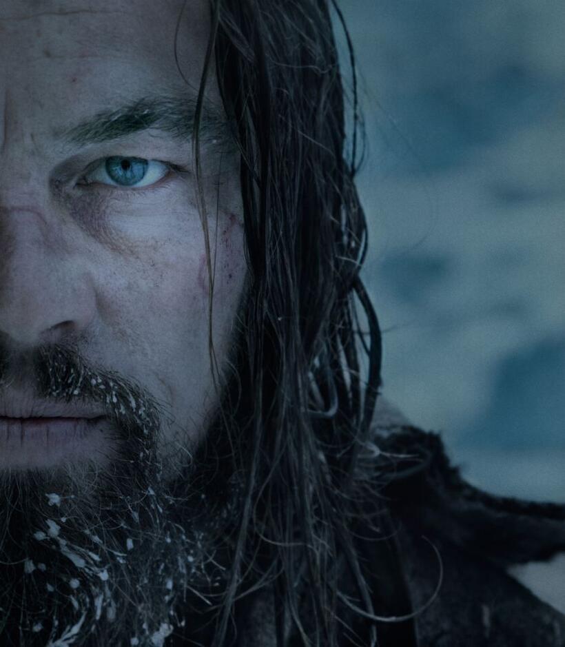 Check out all the movie photos of 'The Revenant'