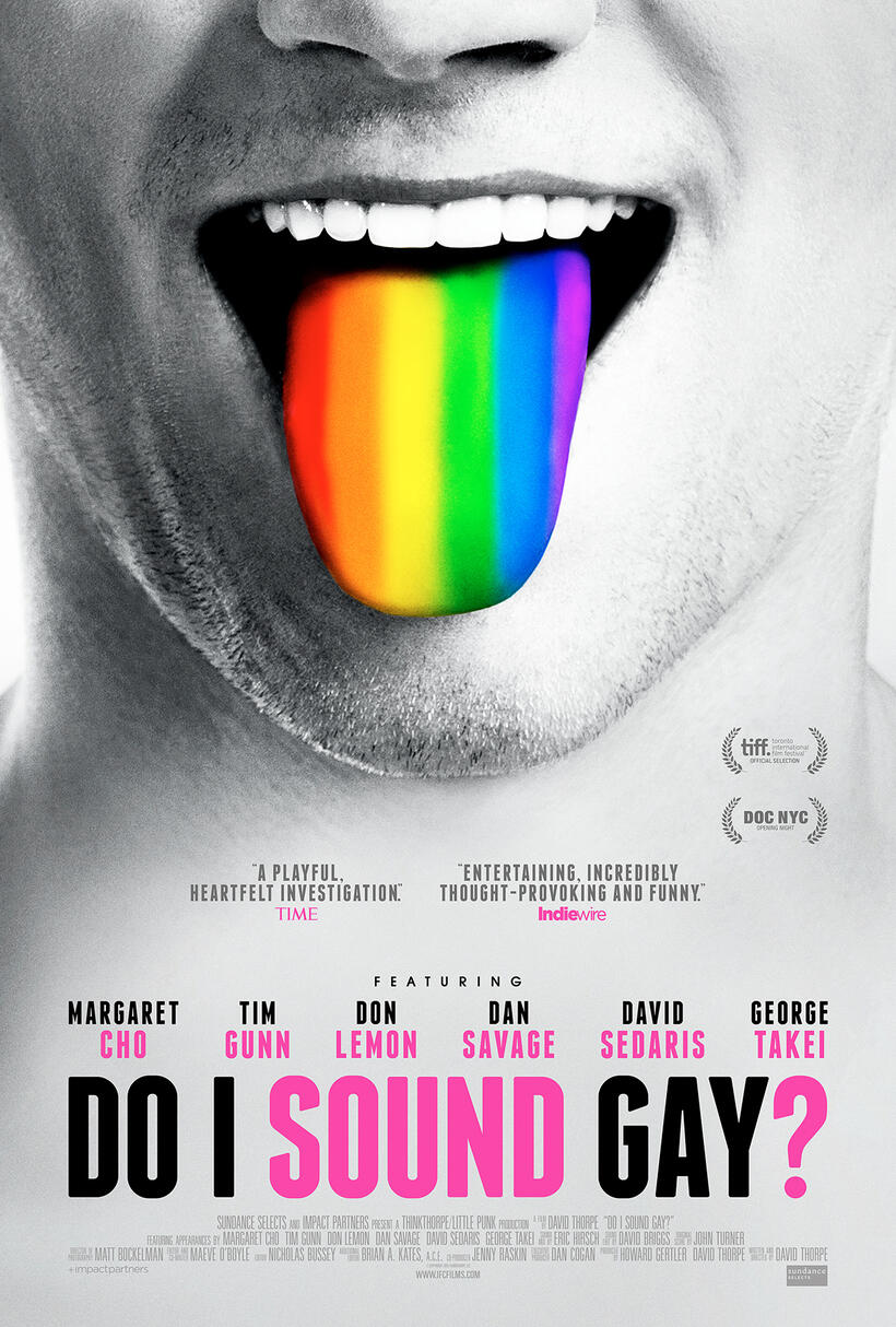 Do i Sound Gay? poster art