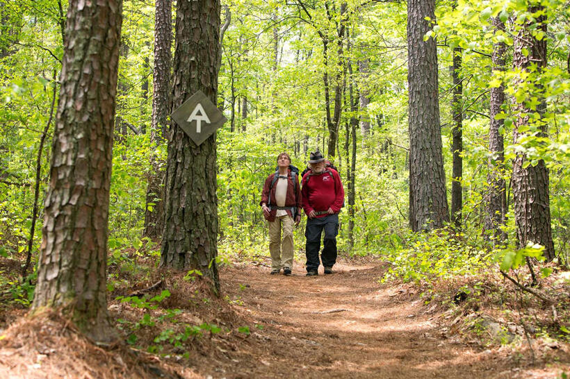 A scene from "A Walk In The Woods."