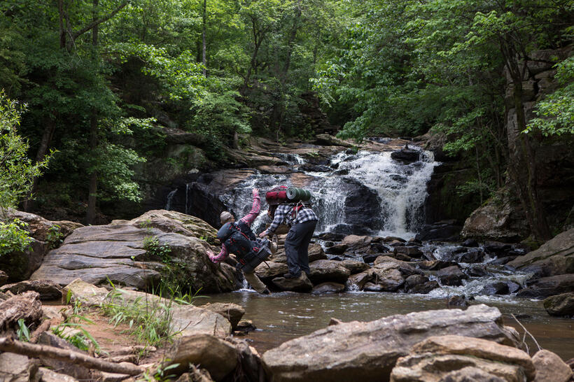 A scene from "A Walk in the Woods."