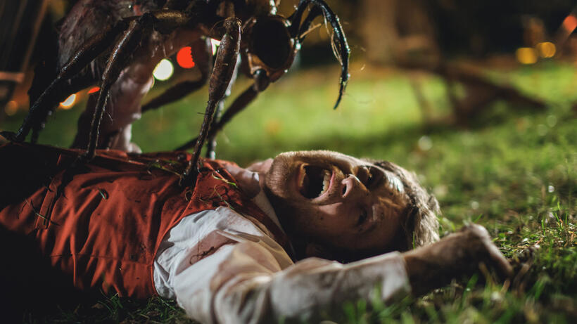 Matt O'Leary in "Stung."