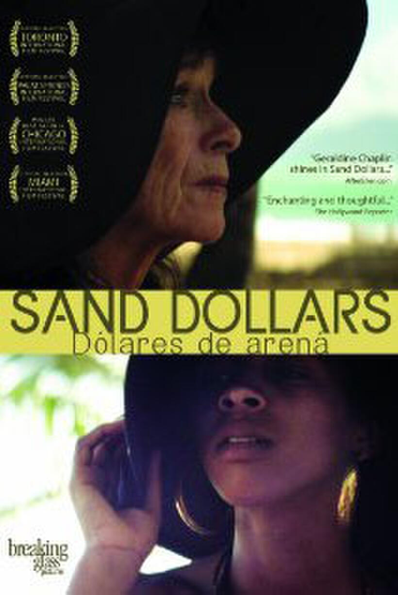 Sand Dollars poster