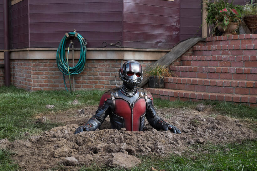 Paul Rudd as Scott Lang/Ant-Man in "Ant-Man."