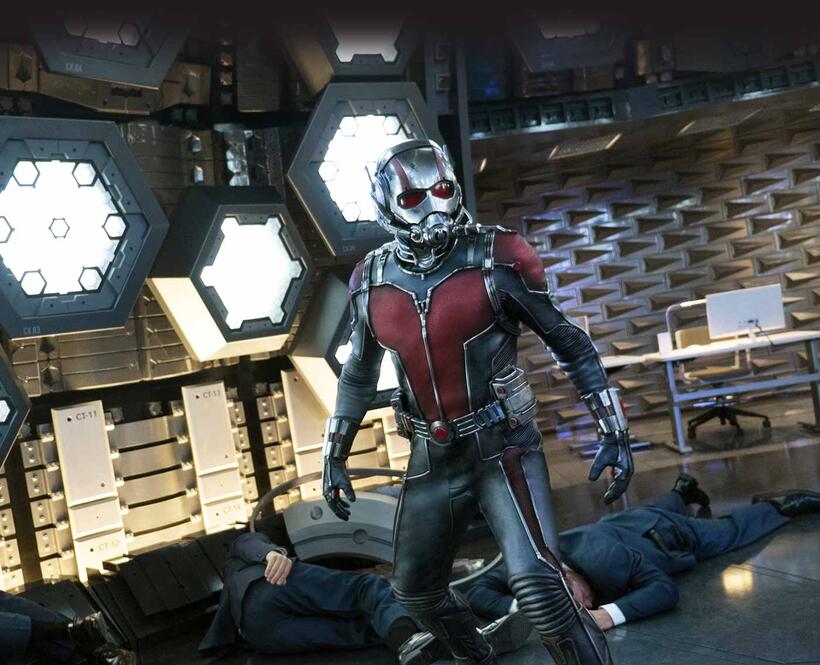 Paul Rudd in "Ant-Man."
