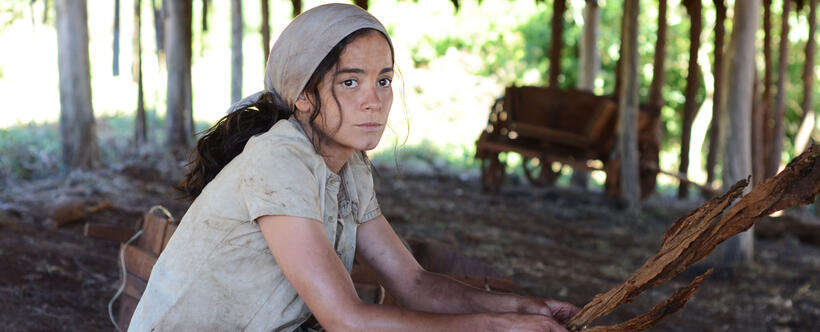 Alice Braga as Vania in "Ardor."