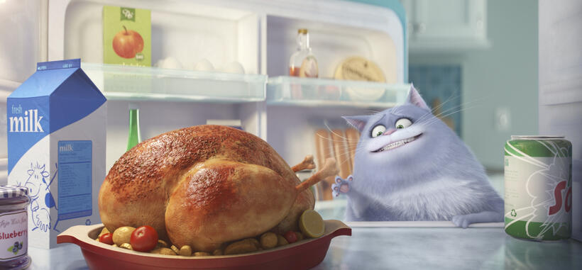 The Secret Life of Pets still