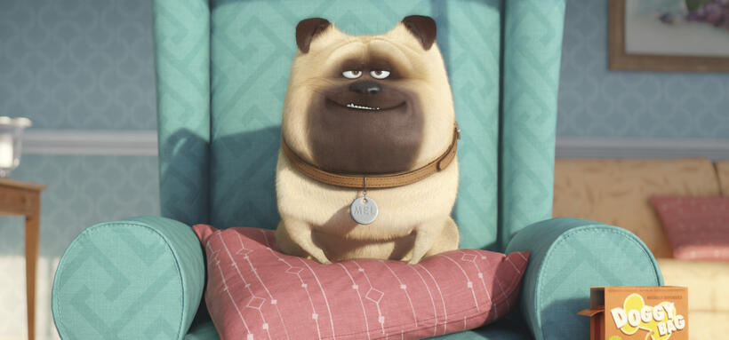 A scene from "The Secret Life of Pets."
