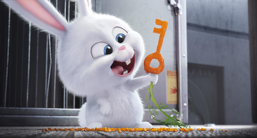 A scene from "The Secret Life of Pets."