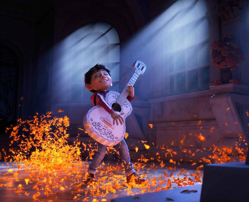 Check out these photos for "Coco"