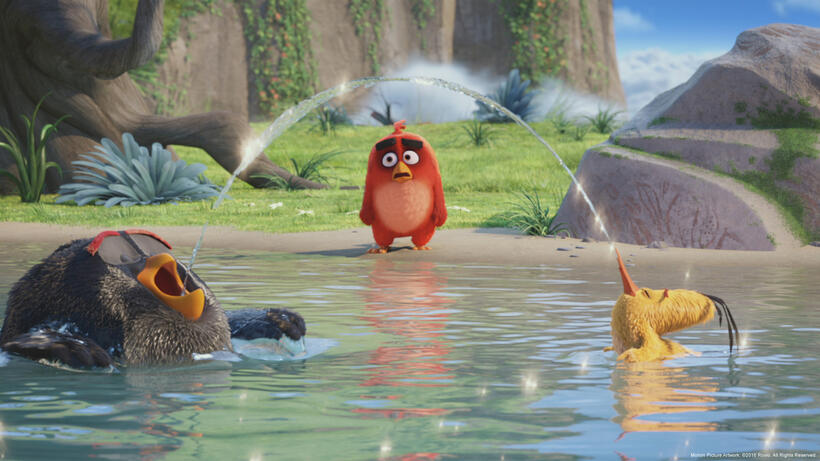 A scene from "The Angry Birds Movie."
