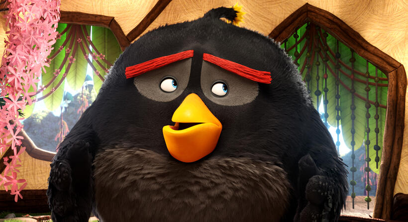 Bomb Voiced by Danny McBride in "The Angry Birds Movie."