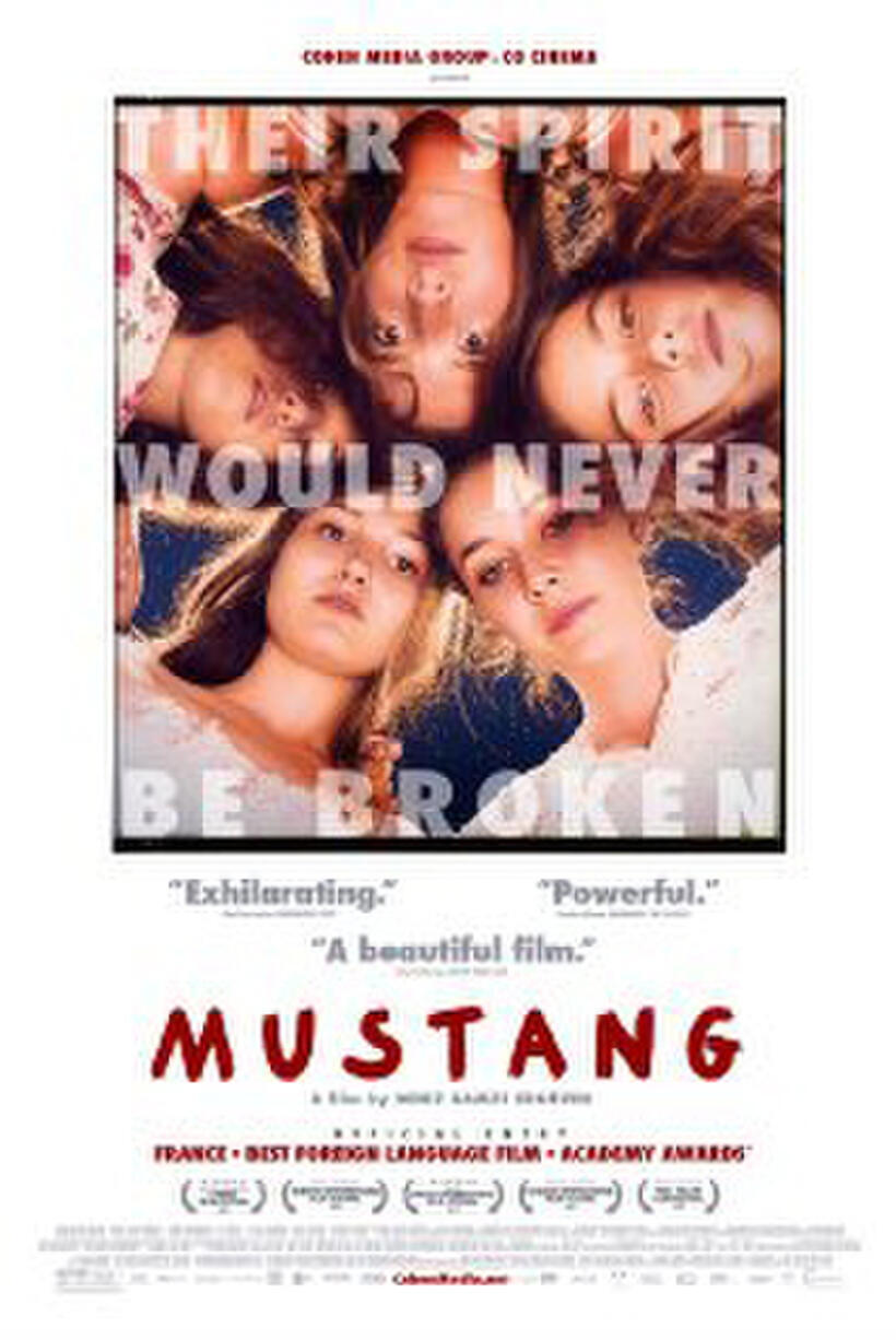 Mustang poster