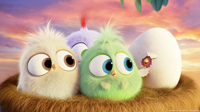 A scene from "The Angry Birds Movie."