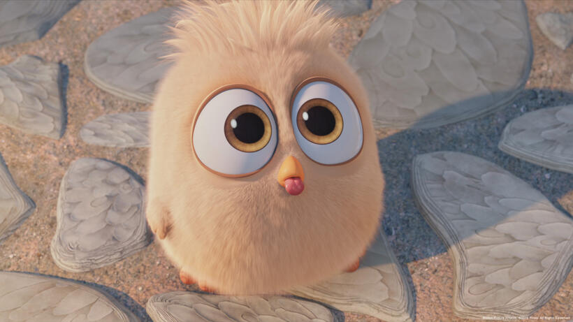 A scene from "The Angry Birds Movie."