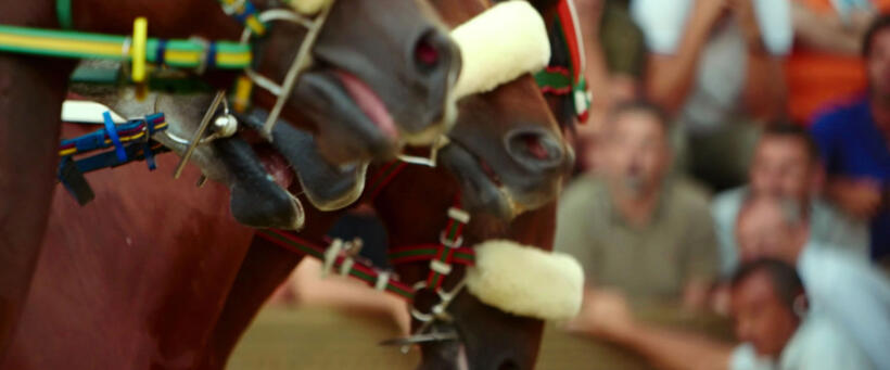 A scene from "Palio."