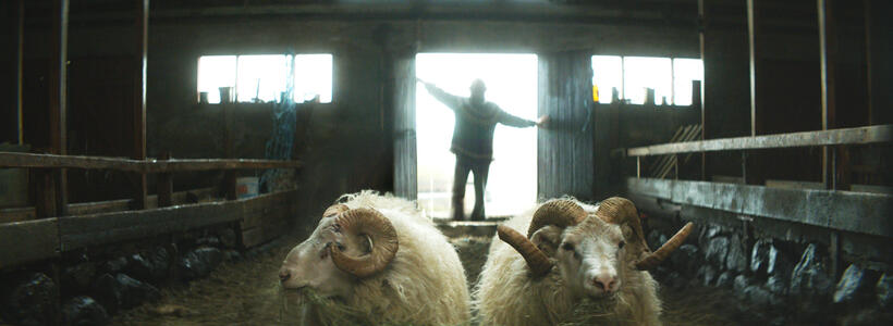 Check out the movie photos of 'Rams'