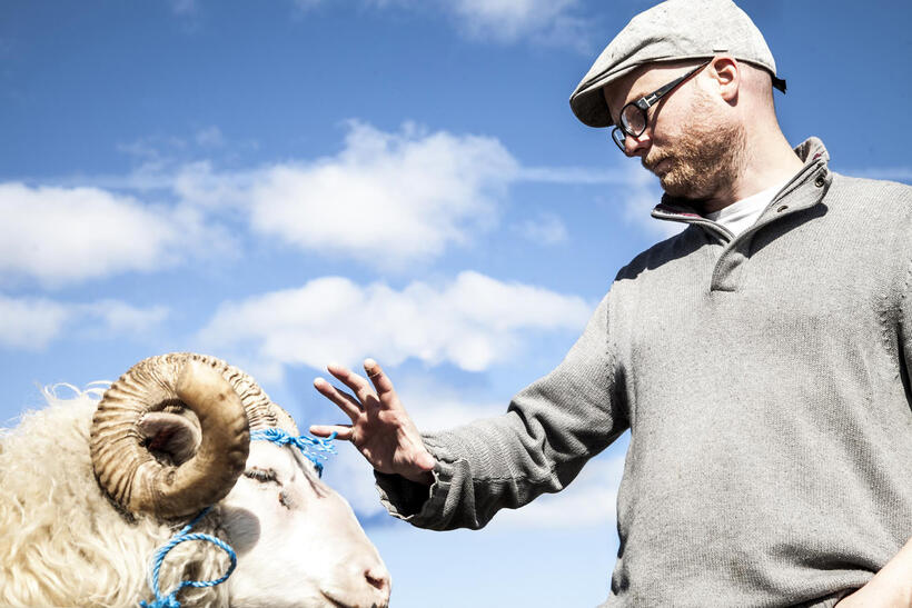 Director Grimur Hakonarson on the set of "Rams."
