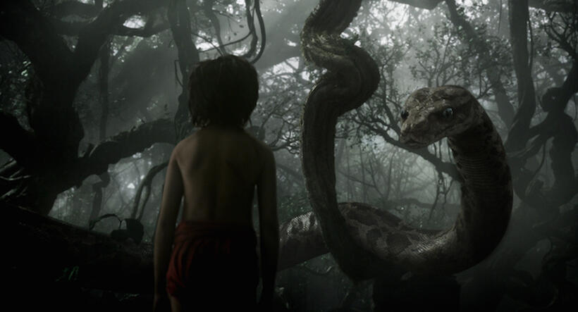 A scene from " The Jungle Book."