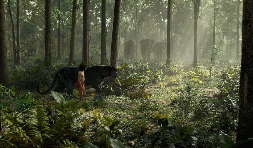 A scene from "The Jungle Book."