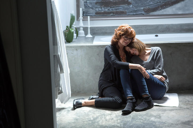 Check out the movie photos of 'The Meddler'