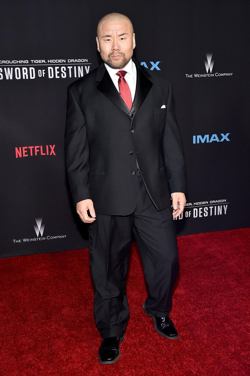 Woon Young Park at the California premiere of "Crouching Tiger, Hidden Dragon: Sword of Destiny."