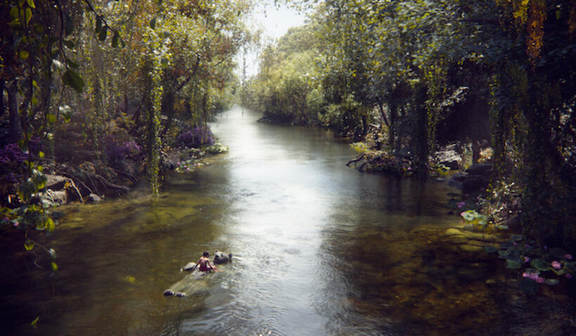 A scene from " The Jungle Book."