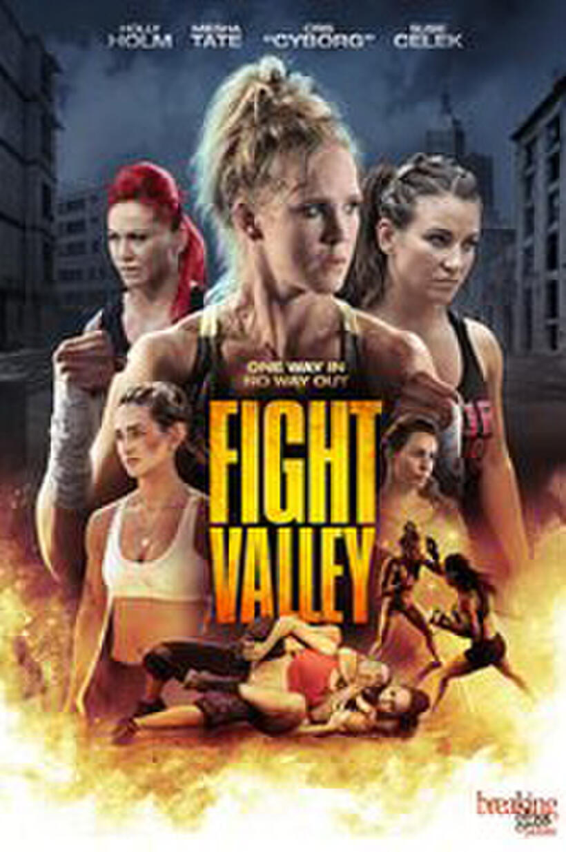 Fight Valley poster