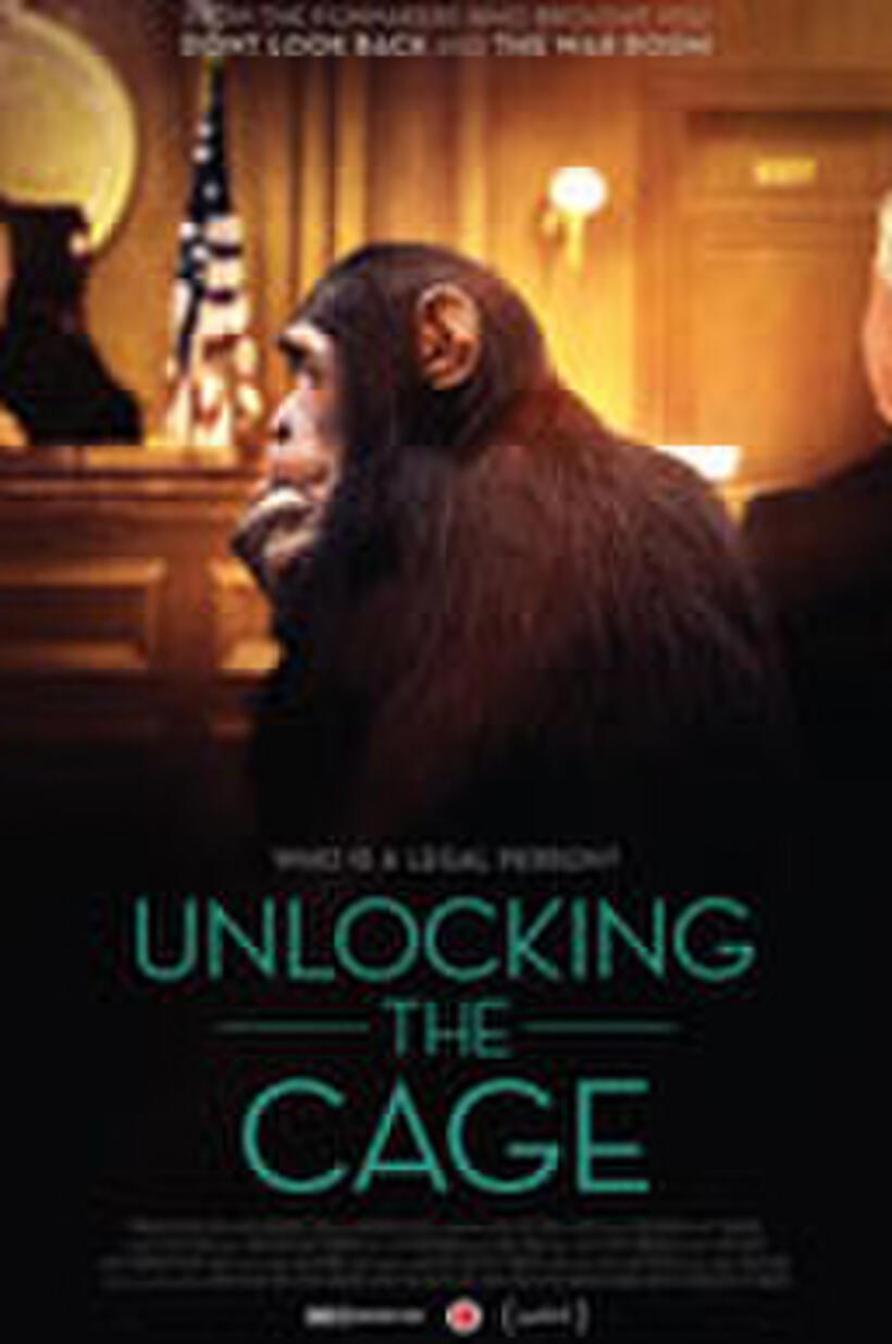 Unlocking the Cage poster