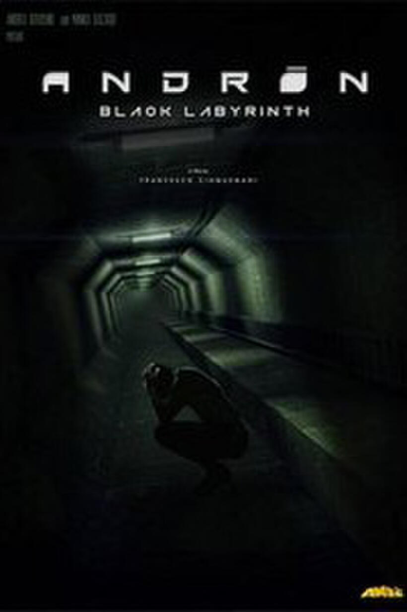 Andron - The Black Labyrinth poster