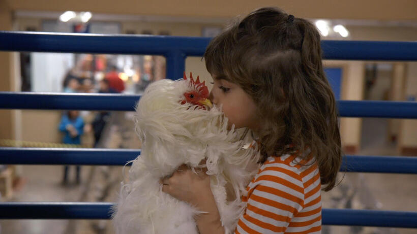 Check out the movie photos of 'Chicken People'