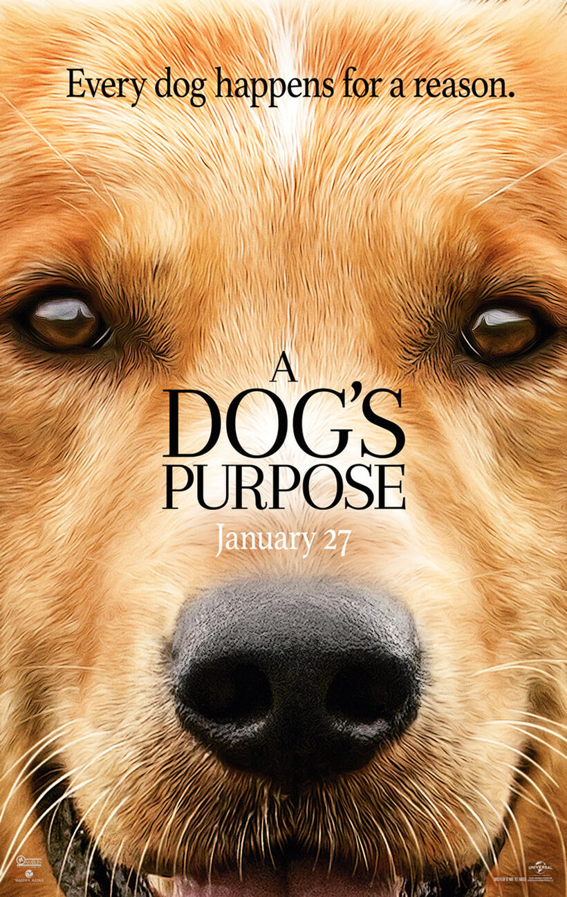 A Dog's Purpose poster art