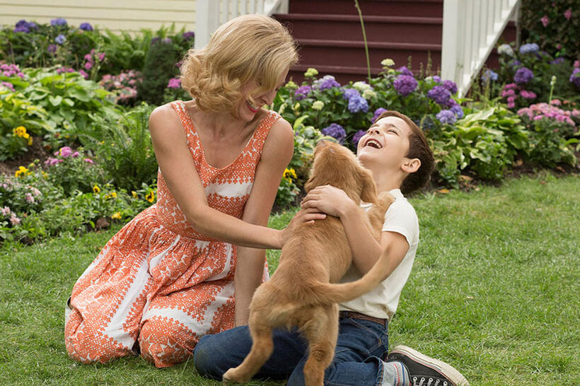 A scene from "A Dog's Purpose."