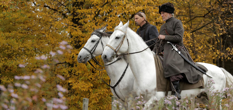 A scene from "Bitter Harvest."