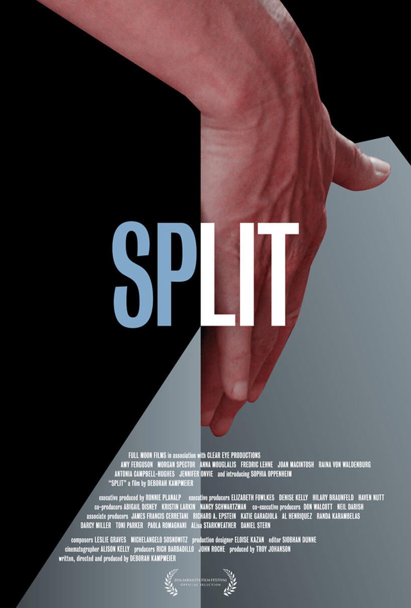 Split poster art