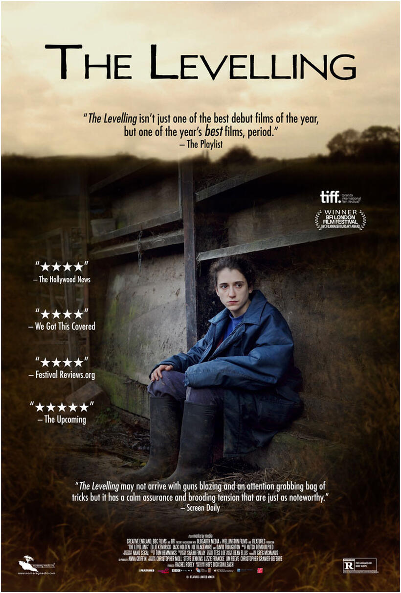 The Levelling poster art
