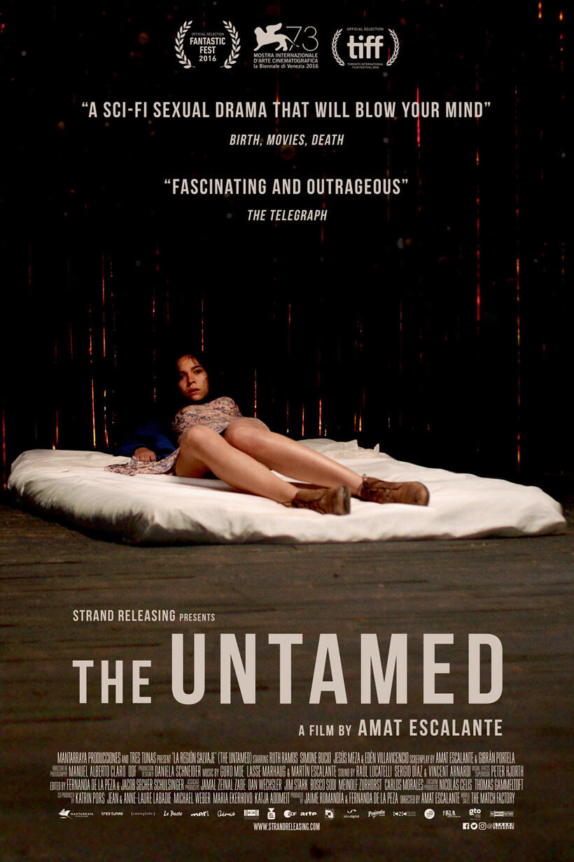 The Untamed poster art