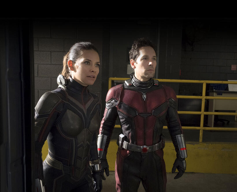 Check out these photos for "Ant-Man And The Wasp"
