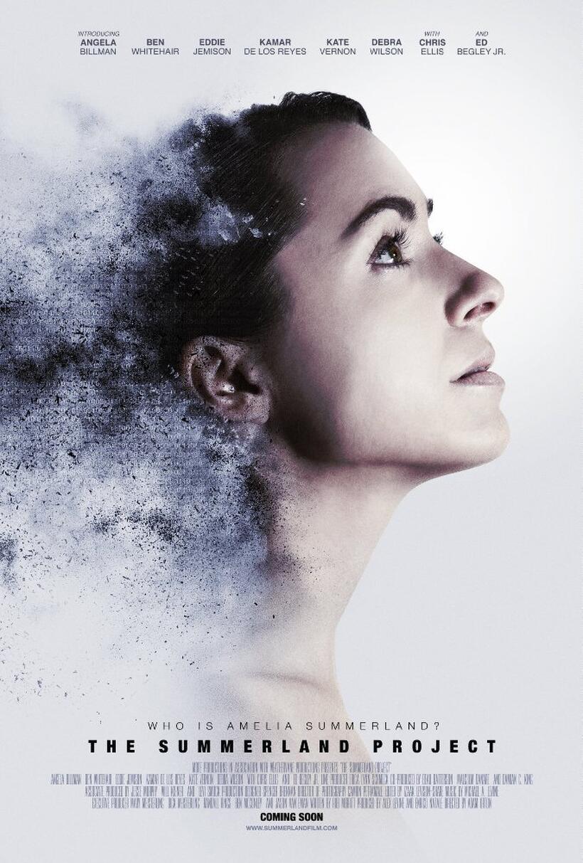 Amelia 2.0 poster art