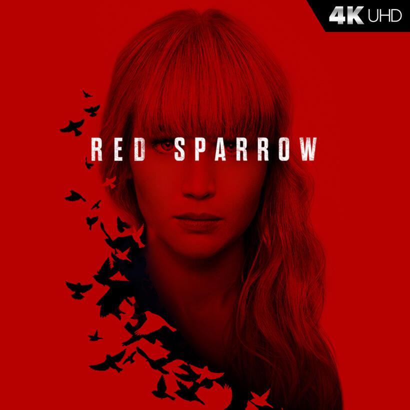 Check out these photos for "Red Sparrow"